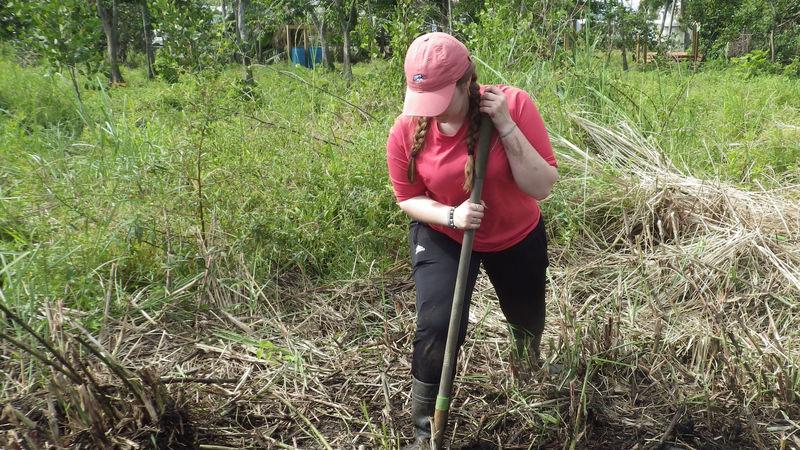 Penn State Berks students worked to help restore mangrove forests during the Alternative Spring Break to Puerto Rico.