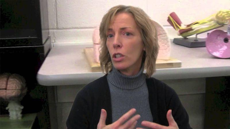 A Hybrid Approach to Human Anatomy