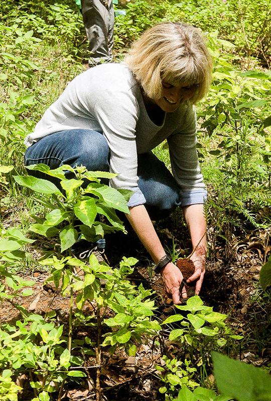 Dr. Janelle Larson planting trees. 