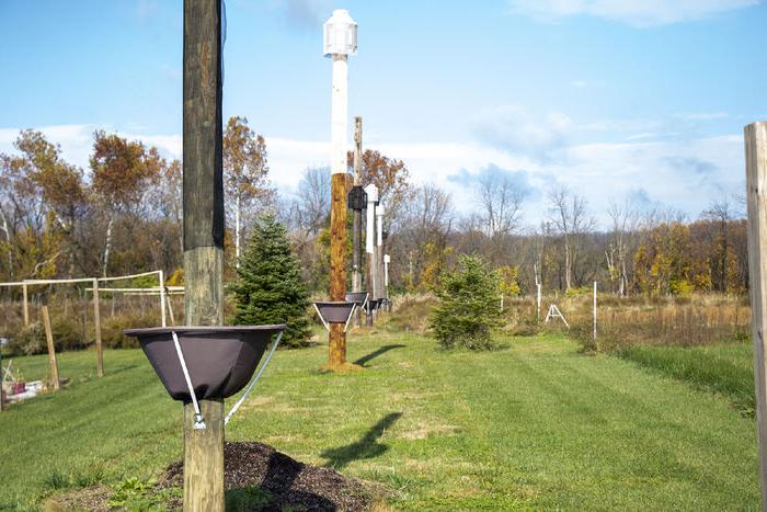 Telephone poles with SLF traps