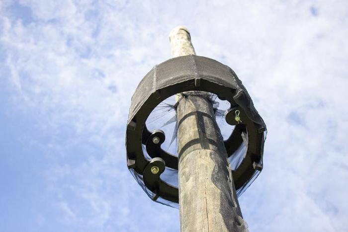 Top traps on telephone poles