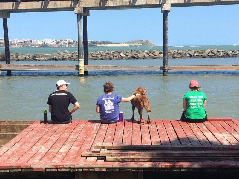 Three students relaxing on a dock overlooking the water.
