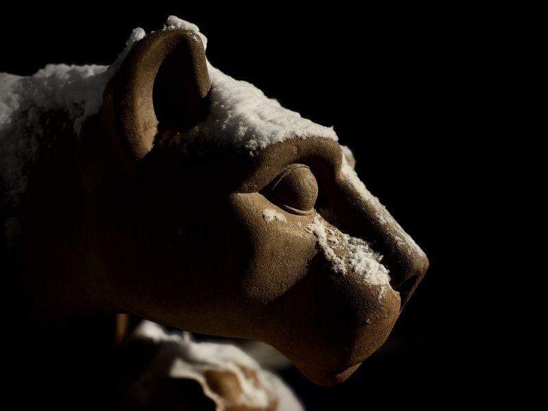 A side portrait of the Nittany Lion shrine at night