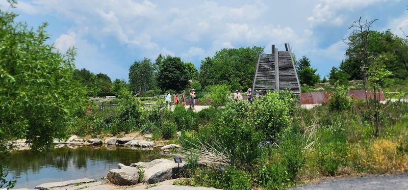 Pollinator and Bird Garden at The Arboretum at Penn State