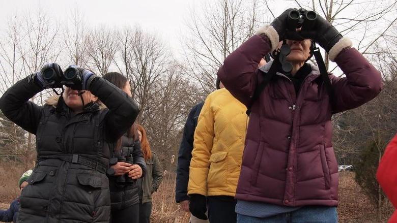 Berks biodiversity and birdwatchin