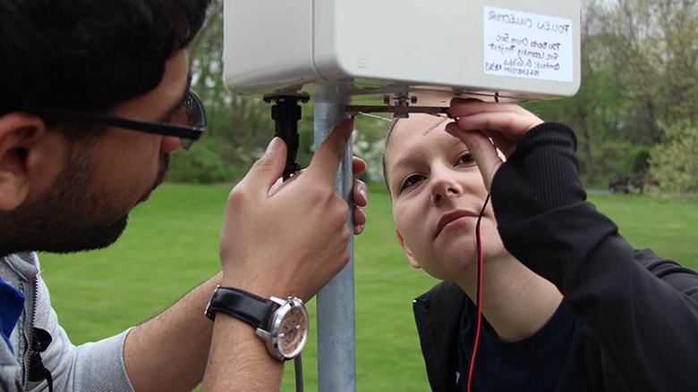 Students work on the pollen collection part of the project