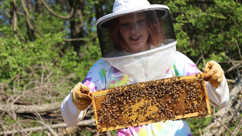 Cassandra Carnell checks her bee boxes on campus