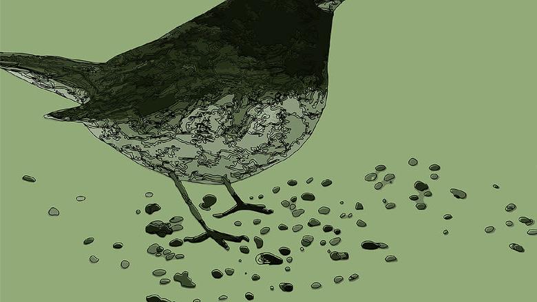 “Bird Call: Studies and Actions Dedicated to Biodiversity" Exhibition Image