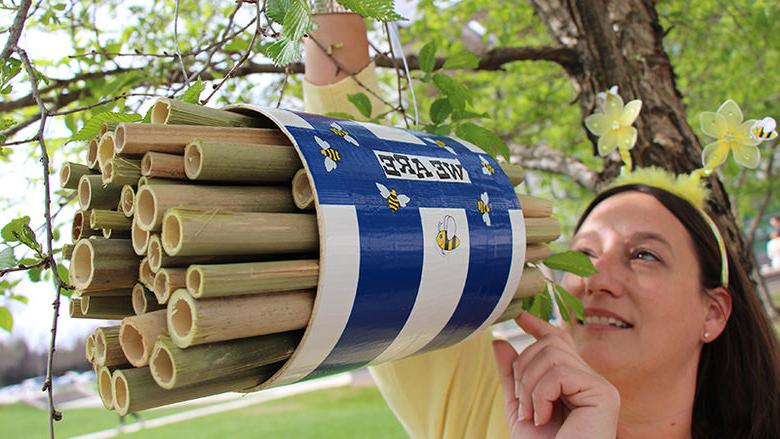 A student checks on her sustainabilite beehive project