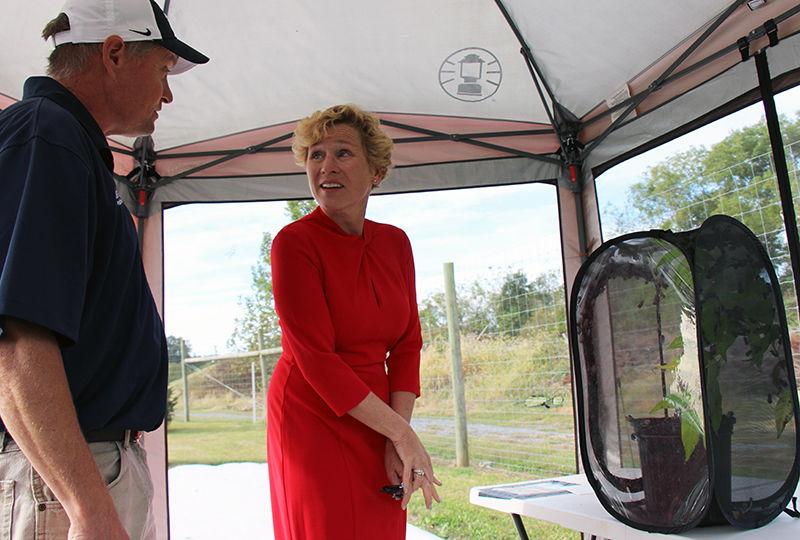 Chrissy Houlanah talks about the spotted lanternfly.