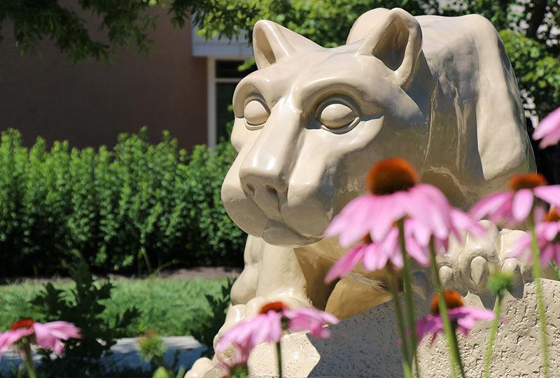 High school students invited to take a summer tour
