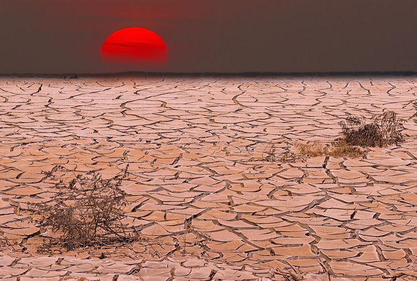 drought landscape