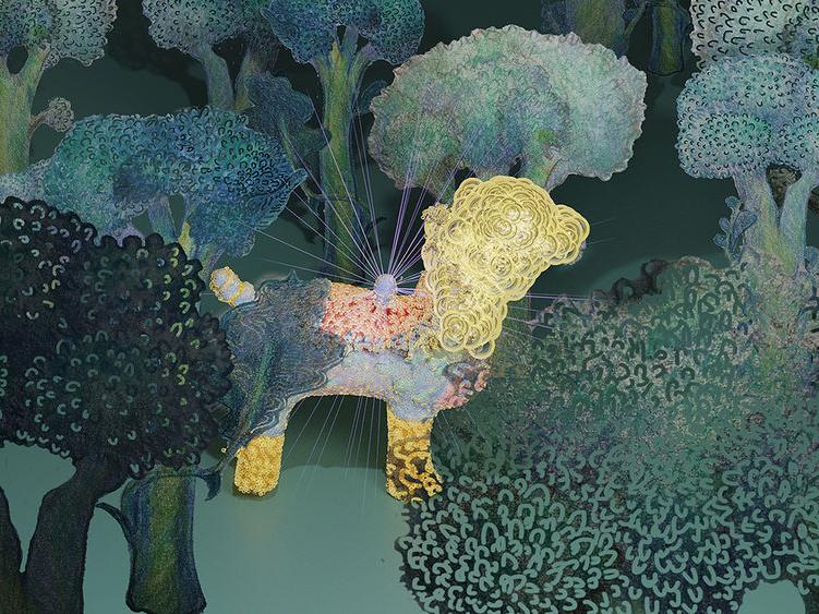 photo from Magic Broccoli exhibit